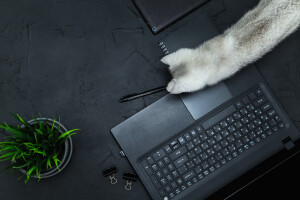 Wielkimi krokami zbliża się wrzesień - dla firmy w której pracuje to czas, w której powoli przygotowujemy się do ciężkiego okresu świątecznego