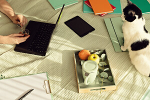 Praca w domu dzięki obecnej sytuacji pandemicznej nie jest już tylko marzeniem osób pracujących zawodowo w branży IT