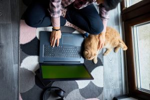 woman-searching-vet-website-on-laptop-to-register-cat-for-veterinary-consultation-1024x683